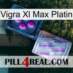 Vigra Xl Max Platinum 37